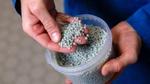 Unilever-wetenschapper met een handvol korrels gerecycled plastic